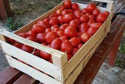 Wooden boxes made of veneer for packing tomatoes. Crimea