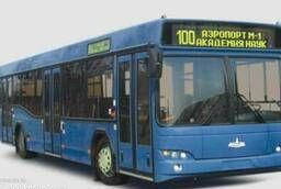 City bus MAZ 103485