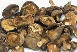 Shiitake mushroom (dried)