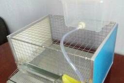 Cages for quails and chickens
