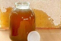 Мед разнотравья оптом от производителя (цена договорная)