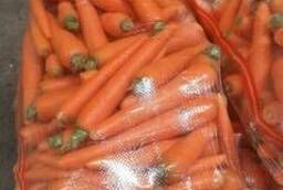 Морковь мытая, грязная