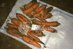 Морковь некондиция