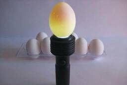 Овоскоп для проверки качества яиц