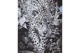 Папка-уголок Brauberg Leopard, А4, 150 мкм, цветная. ..