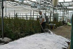Perlite expanded to improve soil structure!