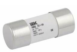 Fuse link cylindrical PVC 22x58 gG 80A