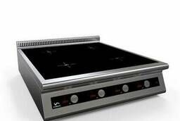 Professional induction cooker