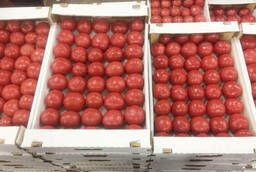We sell greenhouse pink tomatoes from the manufacturer