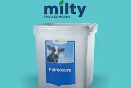 Prevention of pulmonary diseases in calves - Pulmoshur