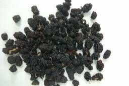 Black mulberry (mulberry)