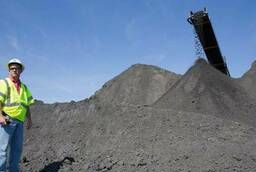 ASh grade coal (anthracite shtyb)
