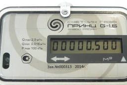Ultrasonic gas meter Prince G1, 6