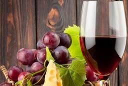 Винный виноград Мерло