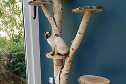 Wood for a cat