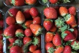 Strawberries wholesale