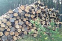 Лесозаготовка , бригады лесозаготовителей