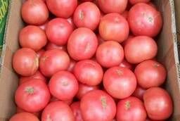 Selling Crimean tomato (pink, red)