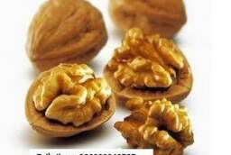Sell walnut kernel