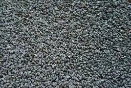 We sell Nigella seeds (black Sesame)