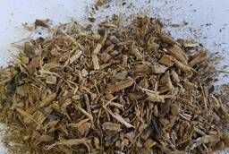 Horse sorrel (grass) wholesale (order conditions in the description)
