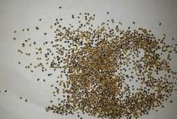 Семена люцерны Вега 87 ЭС-РС2