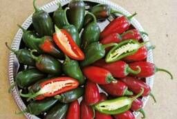 Seeds of Sakata Hot pepper Sonora F1 pack of 500 pieces