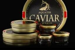 Black caviar - Sterlet