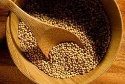 Горчицы семена желтые ВС 10%, меш. 30 кг (Россия)