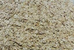 Cereal flakes not requiring cooking. Manufacturer