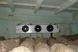 Холодильные камеры для хранения картофеля