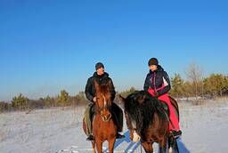 Horseback riding, riding training, photo sessions
