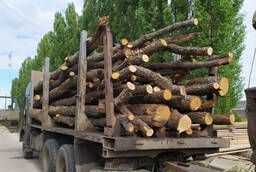 Продам дрова дубовые оптом в хлыстах