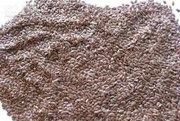 Food flax seeds