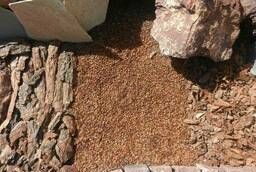 Скорлупа кедрового ореха в мешках мульча