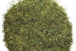 Dried dill
