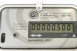 Ultrasonic gas meter Prince G4
