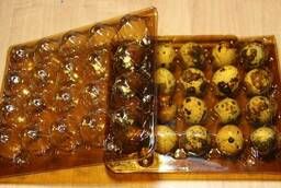 Package for quail eggs