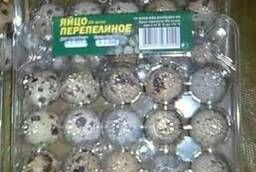 Transparent package for quail eggs on (20) cells