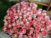 Букет цветов Розы свежие 97 шт Доставка