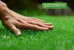 Газонная трава для Элитного озеленения