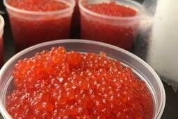 Chum salmon caviar