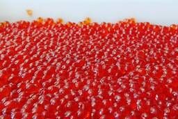 Red caviar of salmon wholesale in St. Petersburg