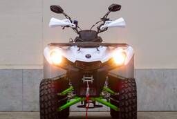 ATV Miklion Hammer 200 cc (chain drive for back wasp