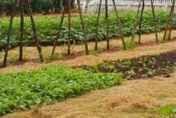 Natural mulch  fertilizer for a vegetable garden and garden Krasnodar