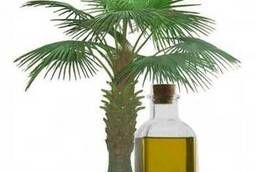 Пальмовое масло