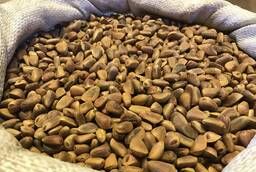 Продам кедровый орех скорлупе урожай 2019г (Алтай)