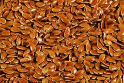 Northern oilseed flax seeds 1st reproduction