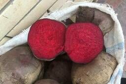 Large beets