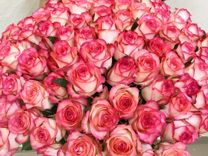 Букет цветов Розы свежие 69 шт Доставка